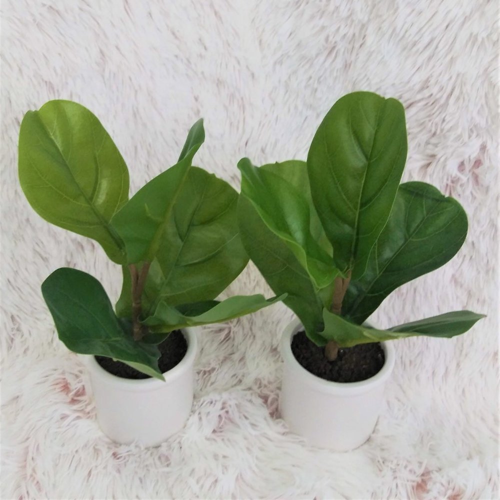 4pk Artificial Fiddle-Leaf In Ceramic Pot